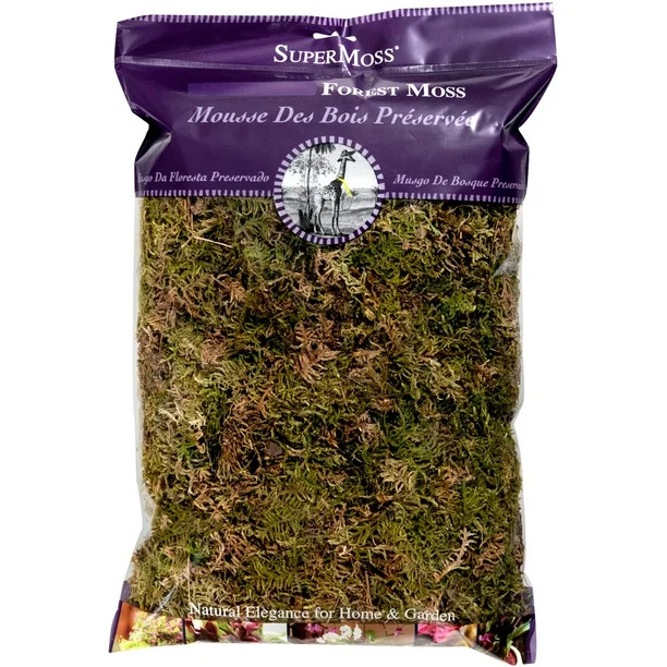Forest Moss Dried 8oz- - Walmart.com | Walmart (US)