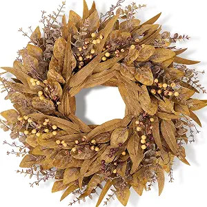 Fall Decorations for Home, Fall Autumn Eucalyptus Wreaths for Front Door | Amazon (US)
