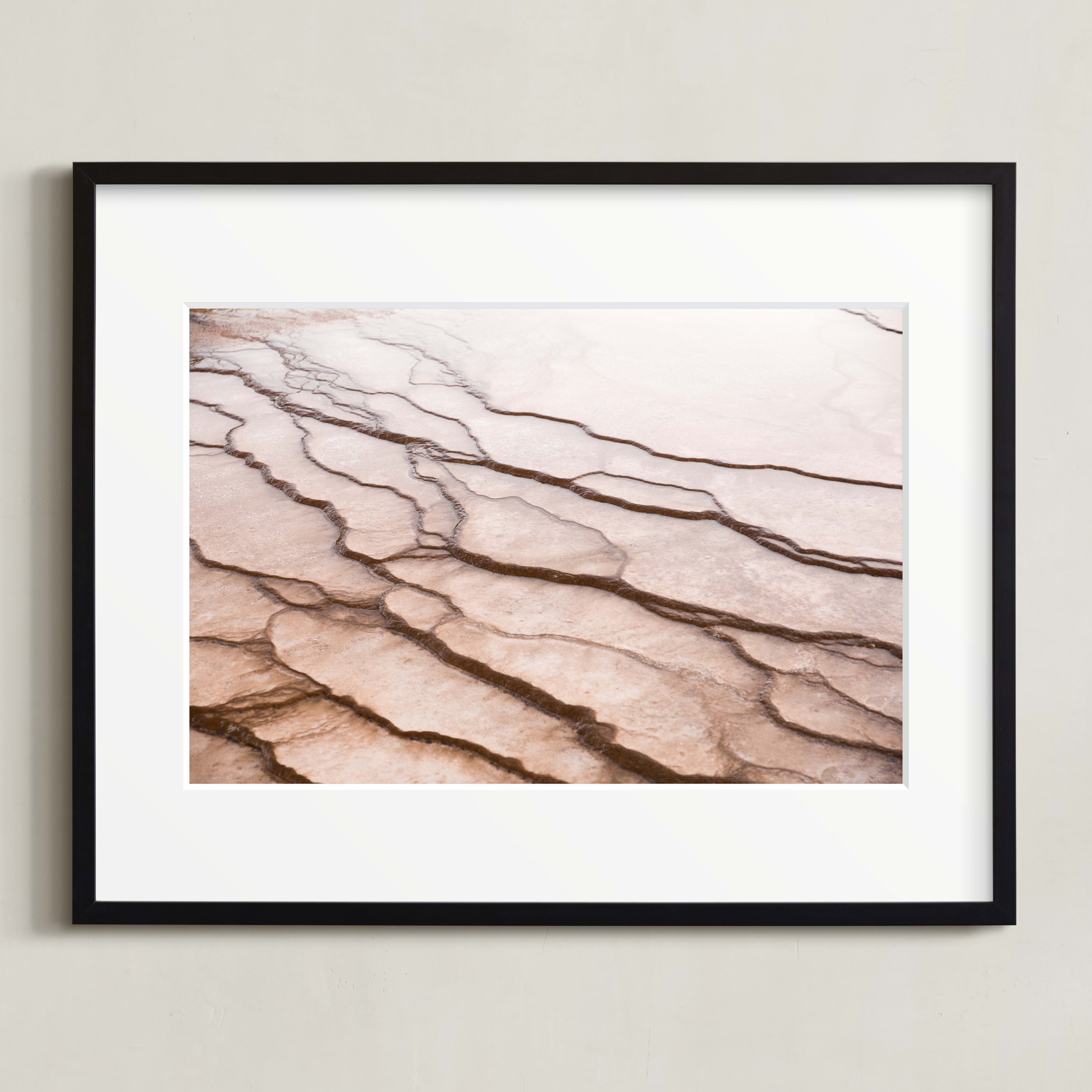 Limited Edition Art | Minted