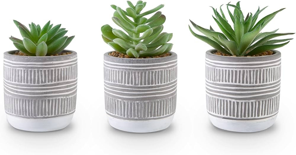 CEWOR Artificial Succulents Plants 3 Pack Mini Fake Plants Bathroom Decor Aesthetic for Living Ro... | Amazon (US)