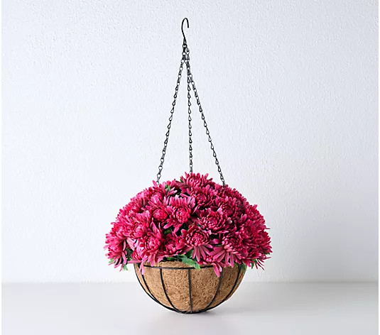 Wicker Park 16" Chrysanthemum Hanging Basket - QVC.com | QVC
