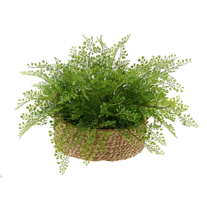 12'' Faux Fern Plant in Basket | Wayfair North America