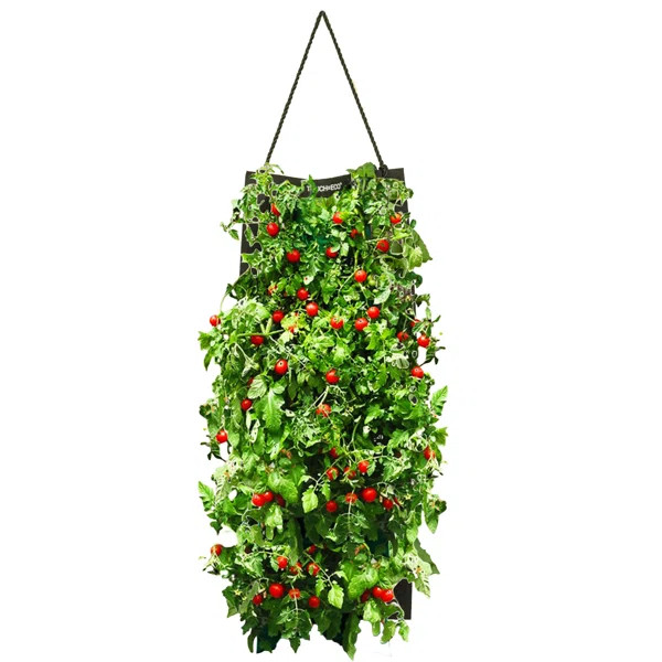 Organic Hanging Cherry Tomato Growing Kit | Wayfair North America