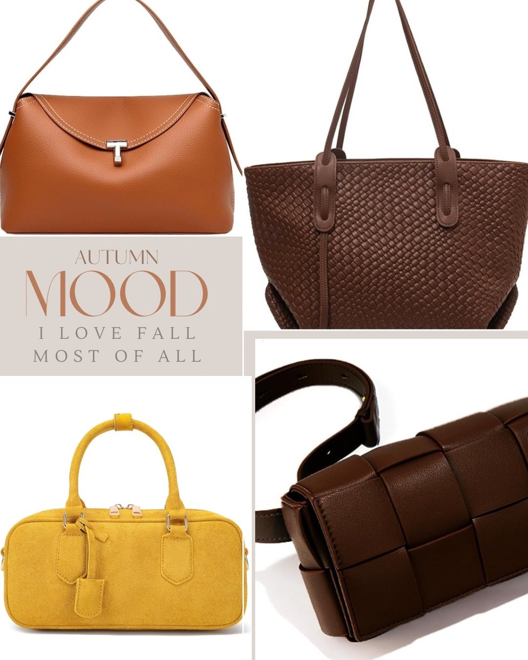 Who’s ready for a new (or several 😉) fall bags?  These are some of my favorites from Amazon.  

#LTKSeasonal #LTKFindsUnder50 #LTKOver40