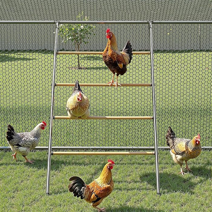 UDPATIO Chicken Roosting Perch Heavy Duty Metal & Wood Chicken Roost Bars | Amazon (US)