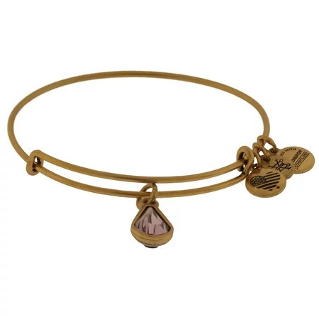 Alex and Ani June Drop Charm Bangle Bracelet - Rafaelian Gold - A17EB45RG | Walmart (US)
