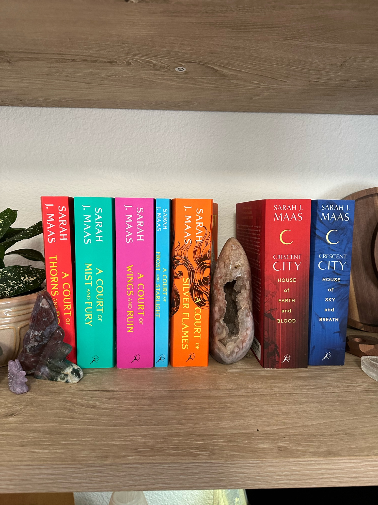 Sarah J Maas Series

#LTKFindsUnder50 #LTKFindsUnder100