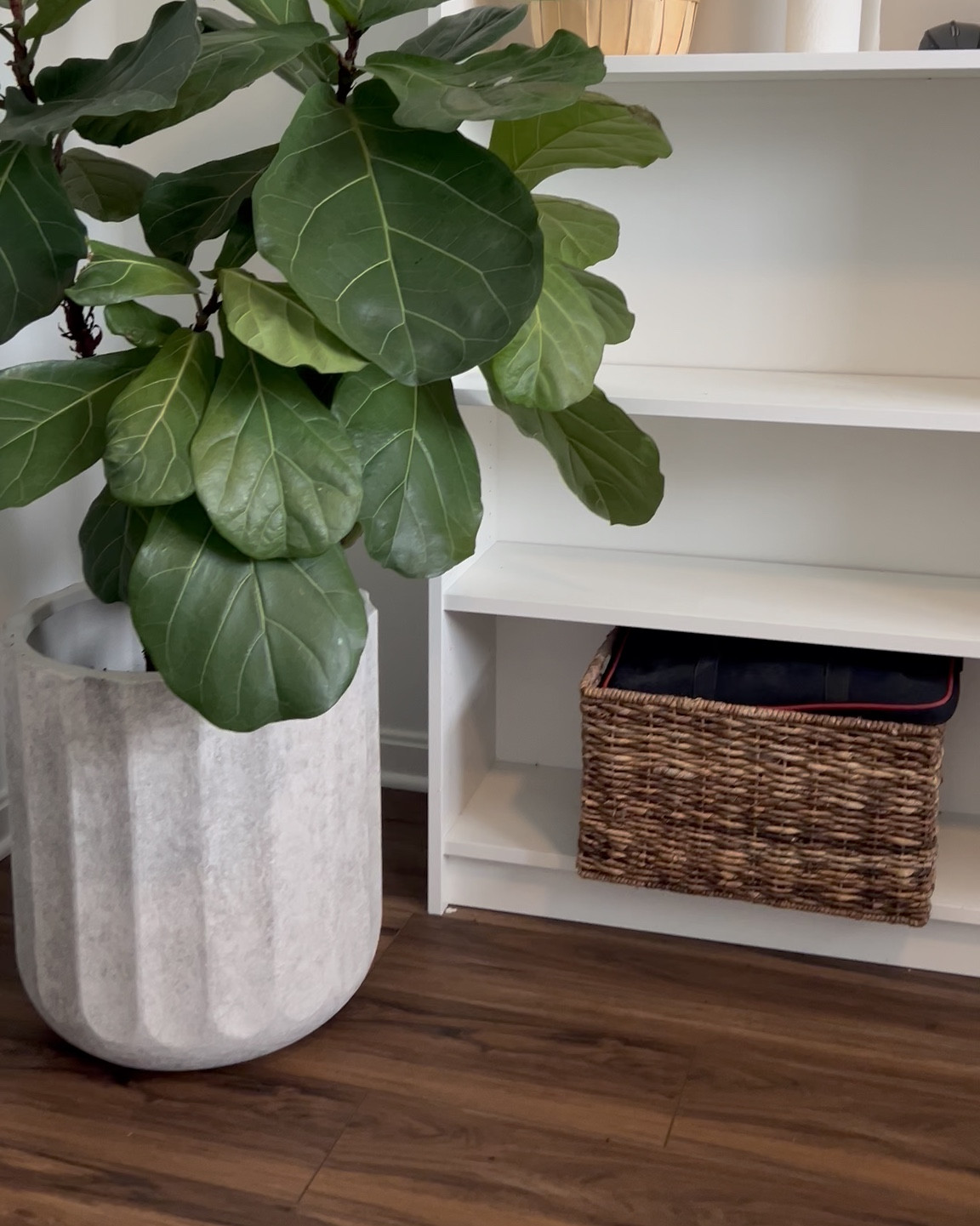 They looks so good! $29 large planters! 

#LTKHome #LTKdayinmylife #LTKmomlife