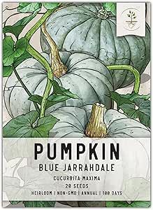 Seed Needs, Blue Jarrahdale Pumpkin Seeds - 20 Heirloom Seeds for Planting Cucurbita Maxima - Non... | Amazon (US)