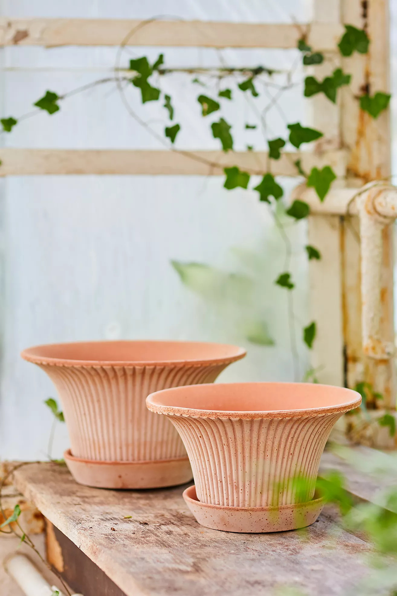 Bergs Fluted Pot + Saucer Set | Terrain