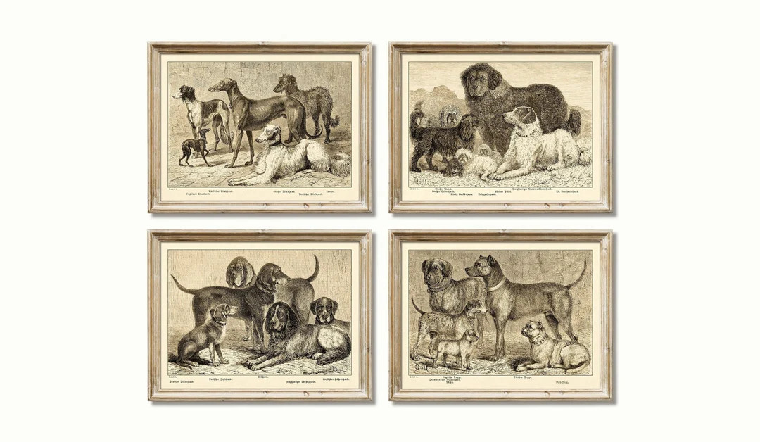 Vintage Dog Breed Prints. Dog Breeds. Antique German Prints 1876. Digital Download - Etsy | Etsy (US)