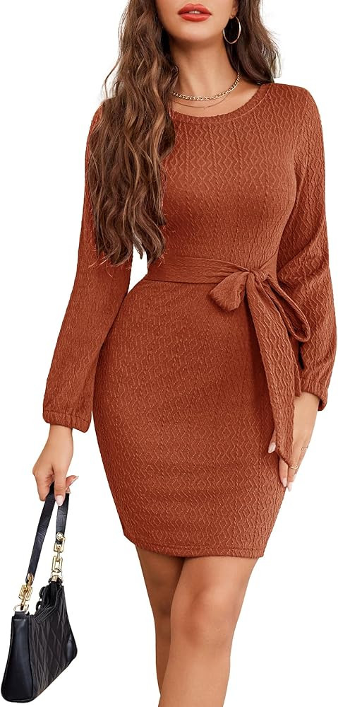 Dressystar Women's Long Sleeve Crewneck Ribbed Knit Sweater Dress Casual Elegant Midi with Tie Wa... | Amazon (US)