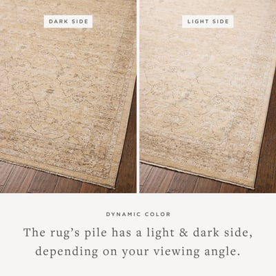 Palma PLM-10 Wheat/Bark Area Rug | Rugs Direct