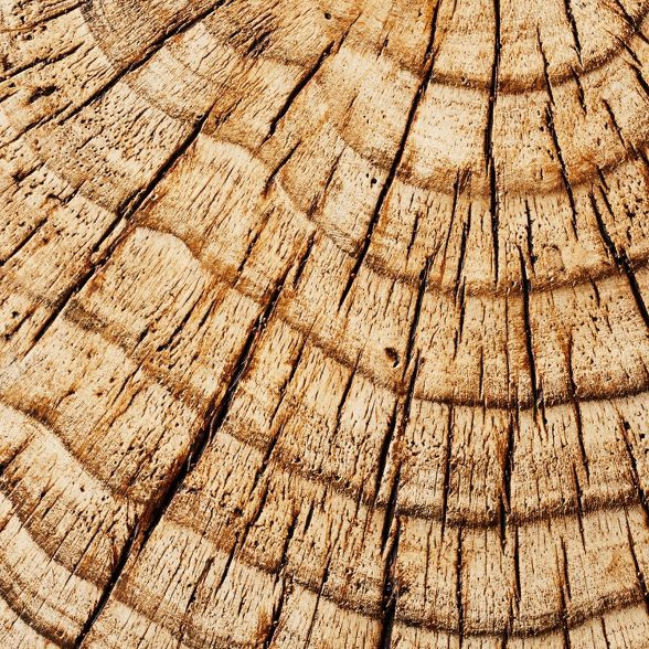 Indoor/Outdoor Faux Concrete Stump Accent Table Brown - Threshold™ designed with Studio McGee | Target