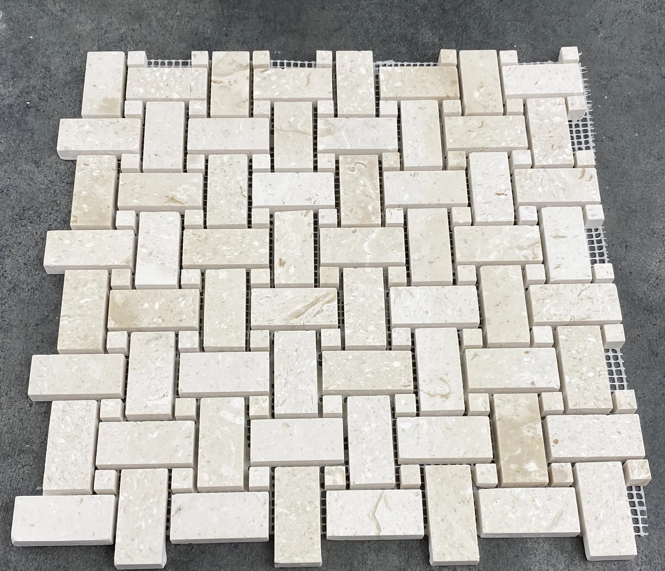 Shellstone 1" Travertine Mosaic Tile (Set of 10) | Wayfair North America