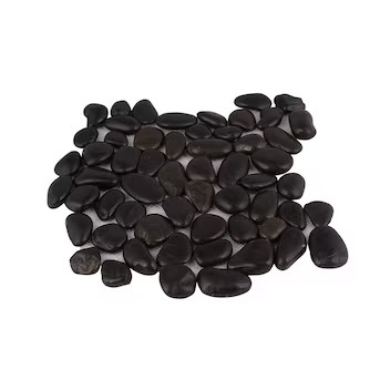 Rain Forest Pebble Mosaic Black 12-in x 12-in Glossy Natural Stone Granite Pebble Stone Look Floo... | Lowe's