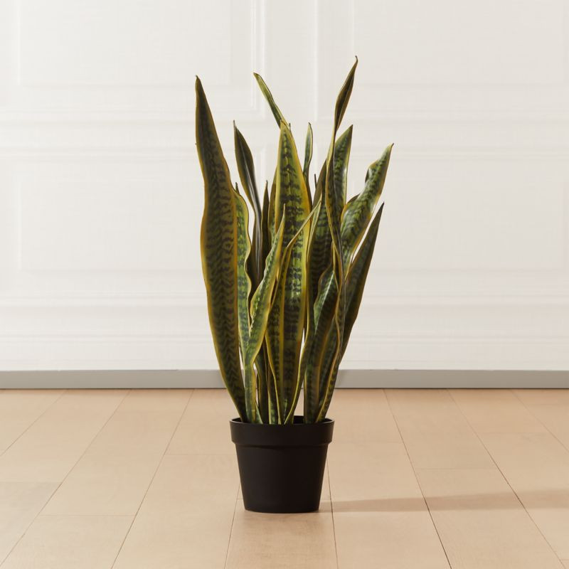 Faux Snake Plant 3' + Reviews | CB2 | CB2