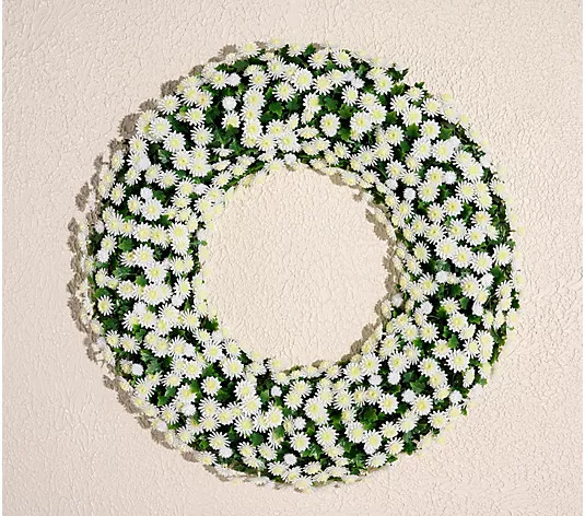 Wicker Park Harvest Faux Mum Wreath - QVC.com | QVC