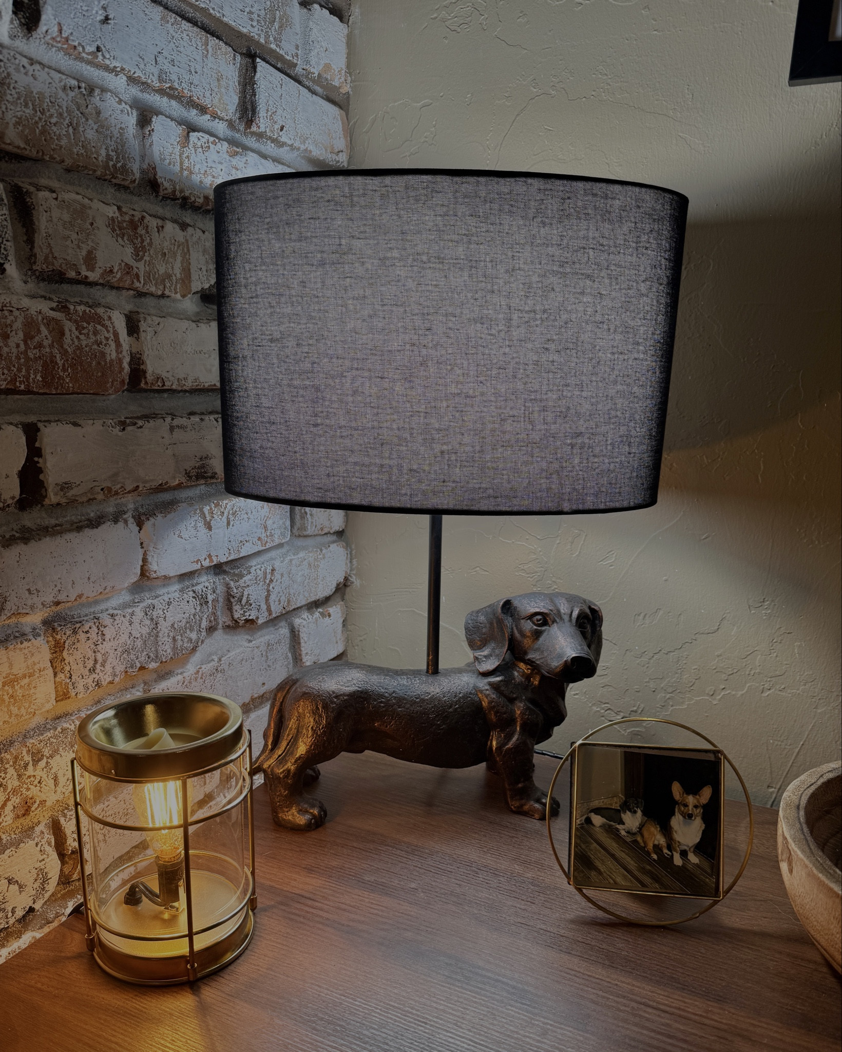 The coziest little doggy corner 🥹🤎🐶 #weeniedog #dachshund #corgi #dogs #home

#LTKFamily #LTKSeasonal #LTKStyleTip