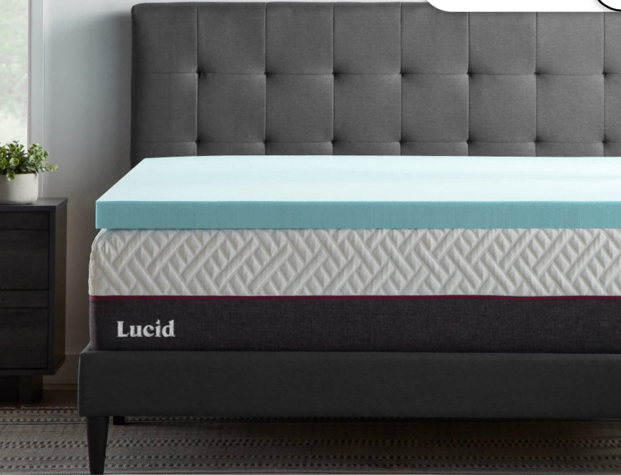 Lucid 3" Cooling Gel with Aloe Plush Memory Foam Mattress Topper, Twin-XL
Must have!

#LTKGiftGuide #LTKsalealert #LTKfindsunder50