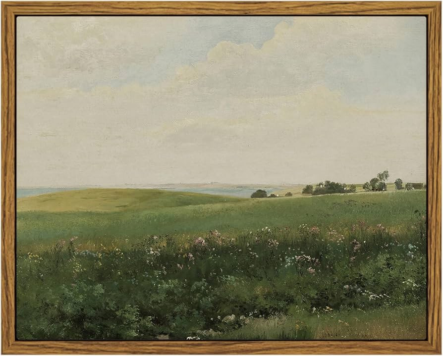 InSimSea Framed Canvas Wall Art Vintage Decor, Farmhouse Wall Art Decor Vintage Grassland Paintin... | Amazon (US)