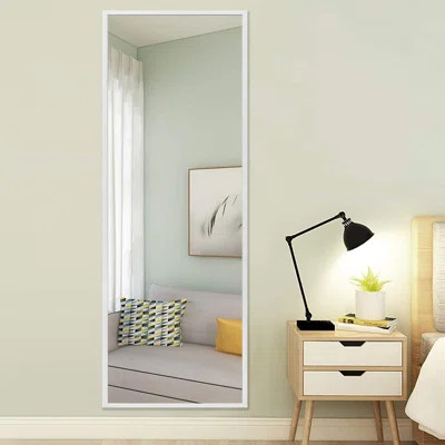Latitude Run® Brushed Metal Wall Mirror, Modern Full Length Floor Mirror, Minimalist Leaner Mirror D | Wayfair North America