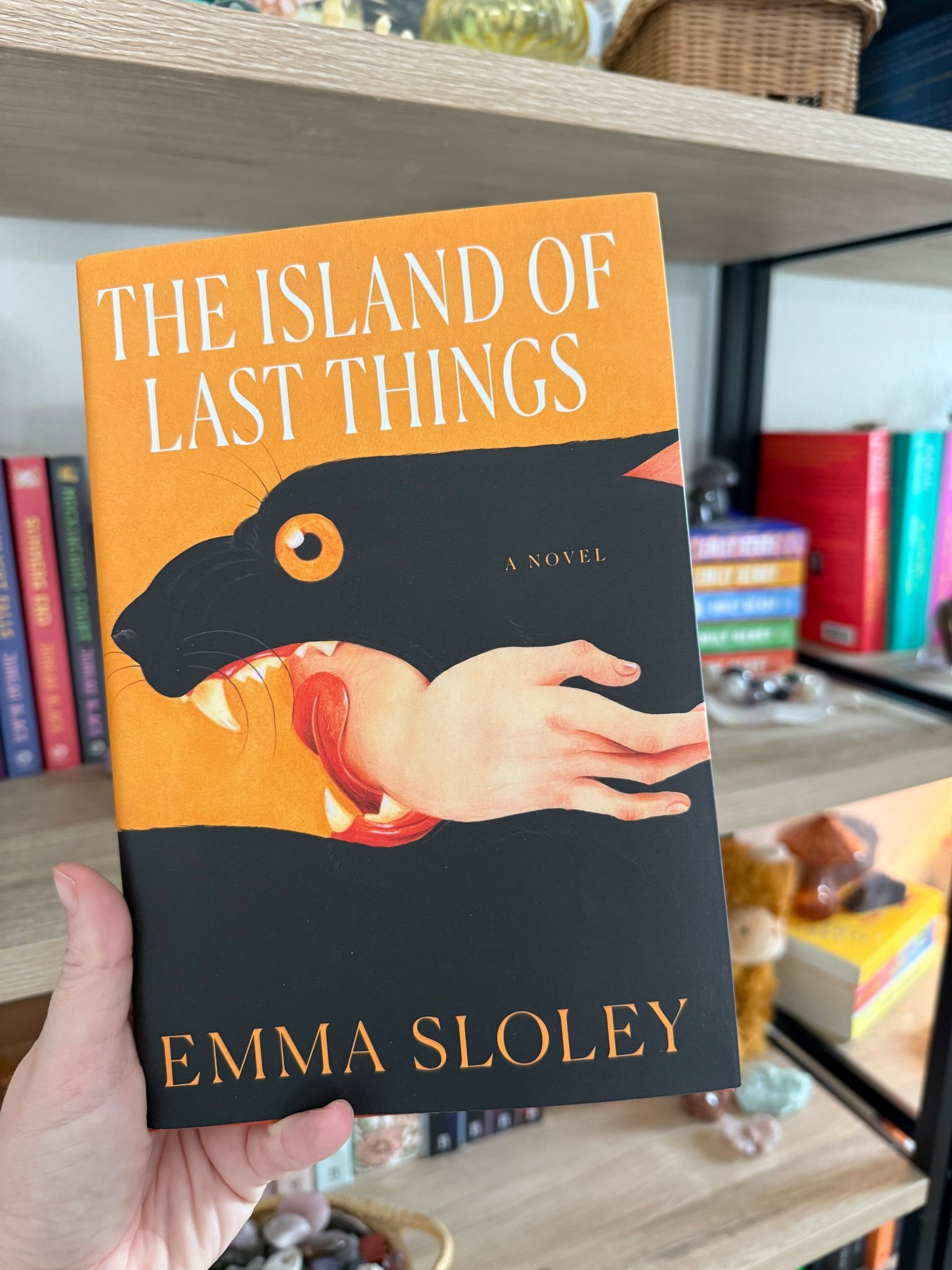 The Island of Last Things by Emma Sloley 