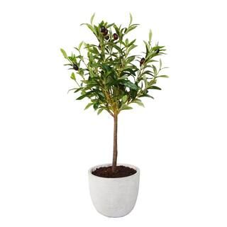 Flora Bunda 28 in. Faux Olive Tree in 7.25 in. Gray Cement Pot | The Home Depot