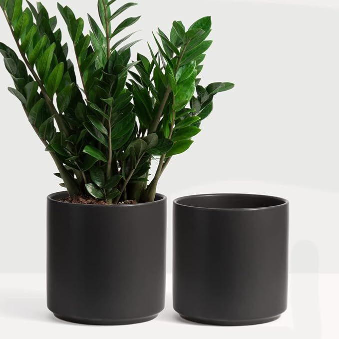 PEACH & PEBBLE 7 Inch (Set of Two) Black Ceramic Planter. Classic Cylinder Plant Pot for House Pl... | Amazon (US)