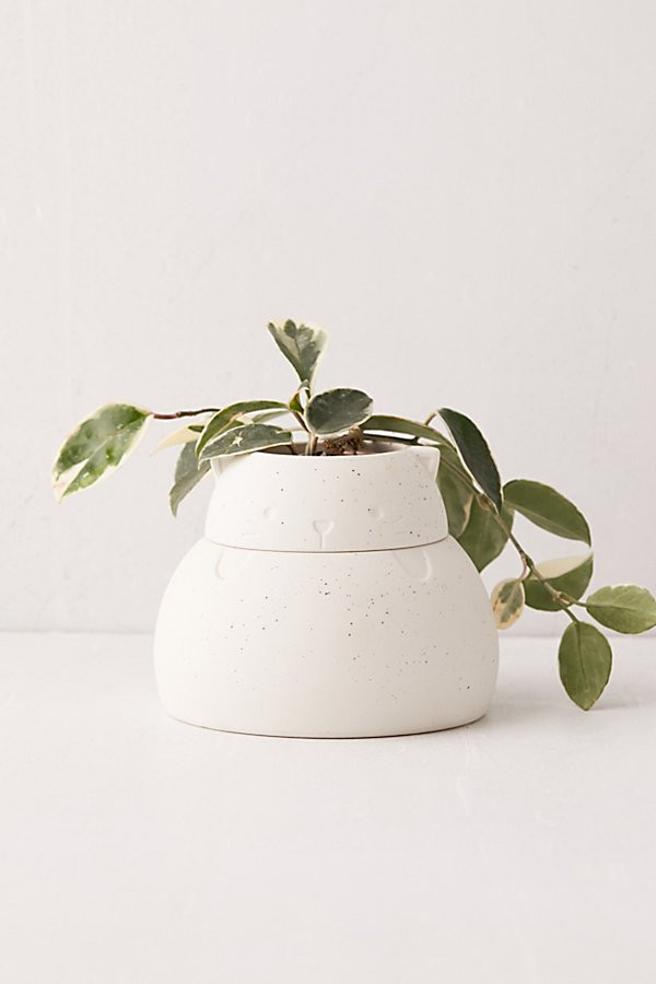 Hideaway Kitty Small Storage Planter | Urban Outfitters (US and RoW)
