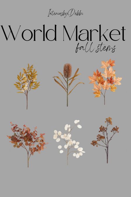 Fall Stems
Fall florals, fall decor, accessories, budget friendly, neutral decor, transitional decor, home decor #worldmarket

#LTKSeasonal #LTKhome #LTKFind