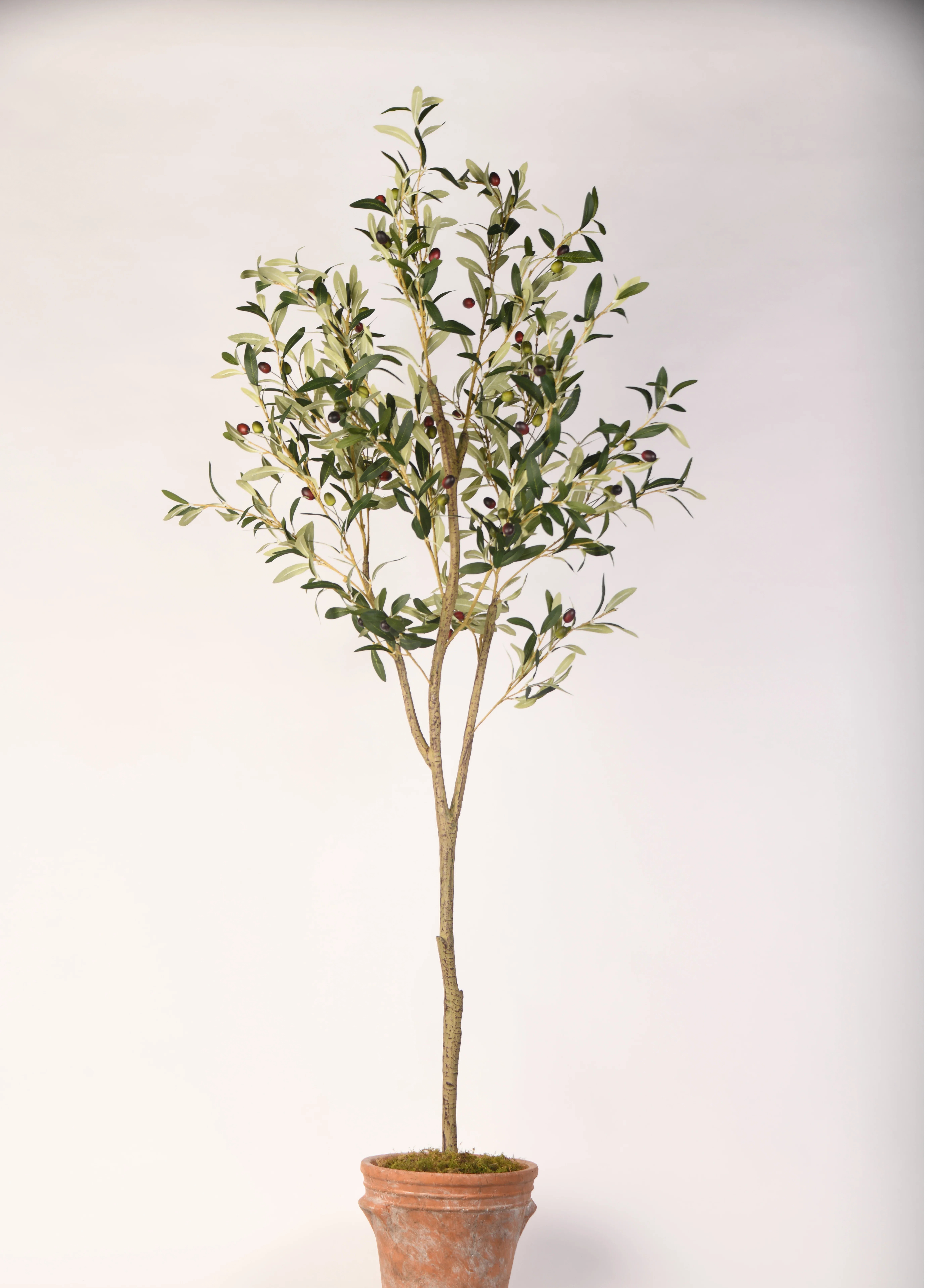 72'' Faux Olive Tree in Planter | Wayfair North America
