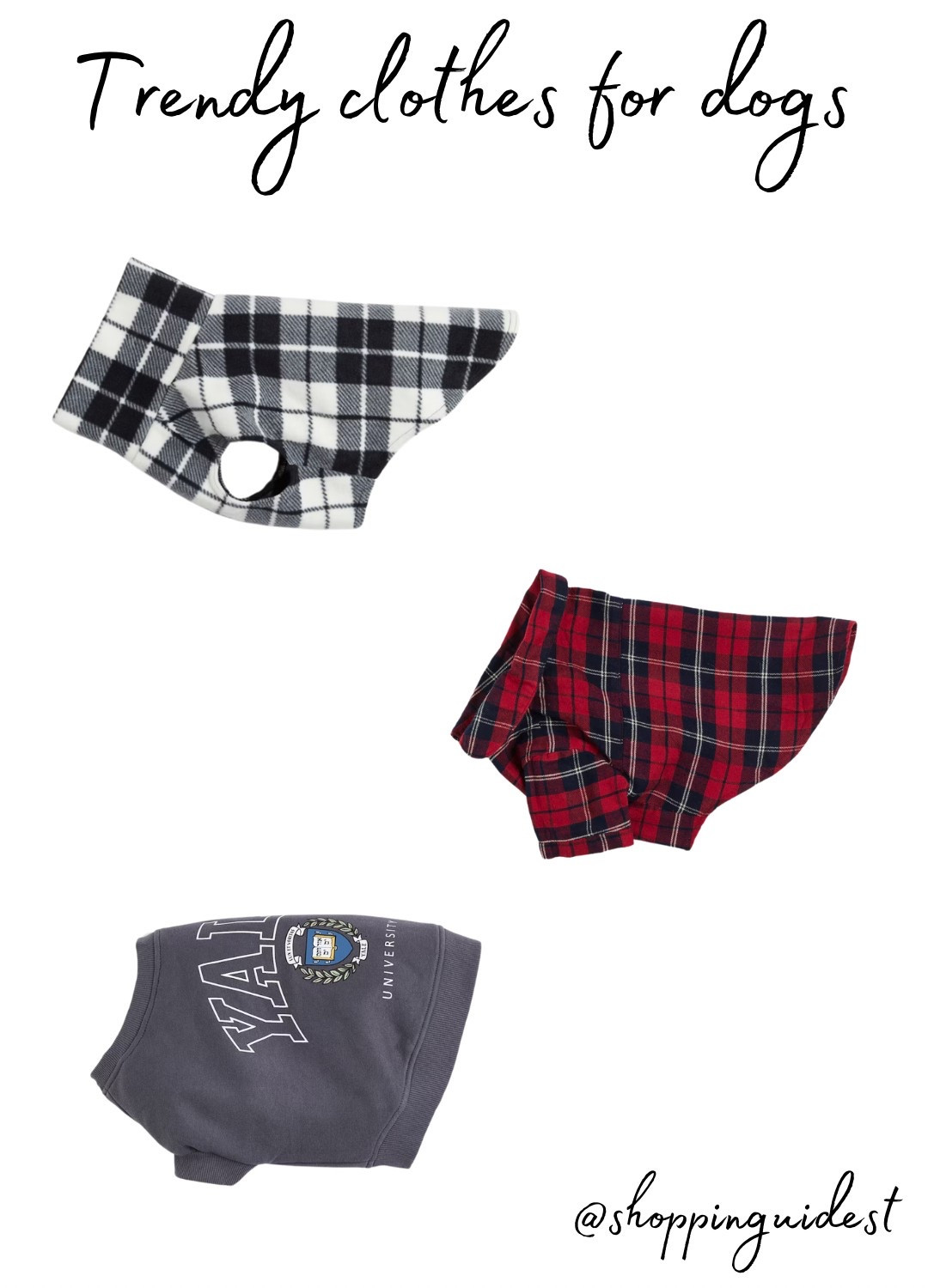 Trendy clothes for dogs. Trending now🔥

#LTKfamily #LTKpets #LTKeurope