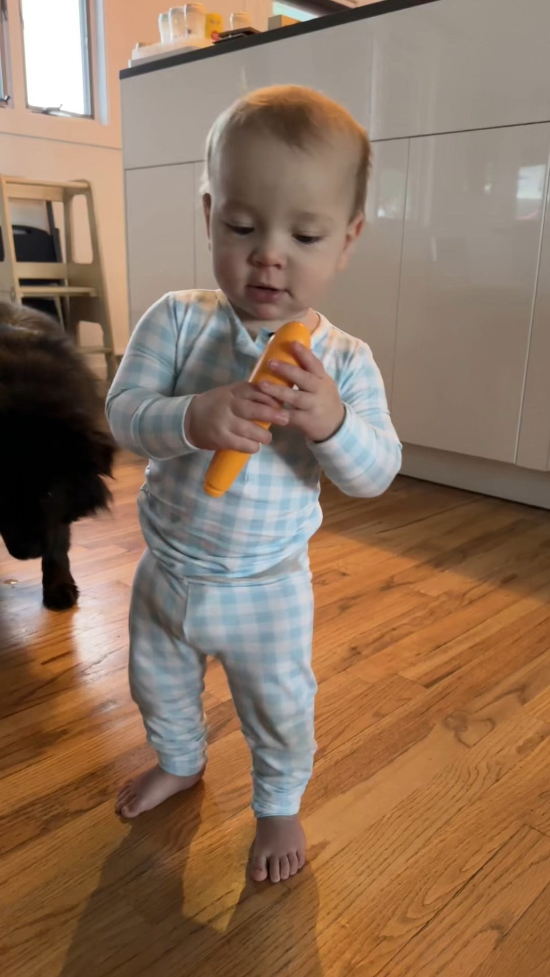 my sweet baby one his fast way to 10
months 

#LTKKids #LTKFamily #LTKBaby