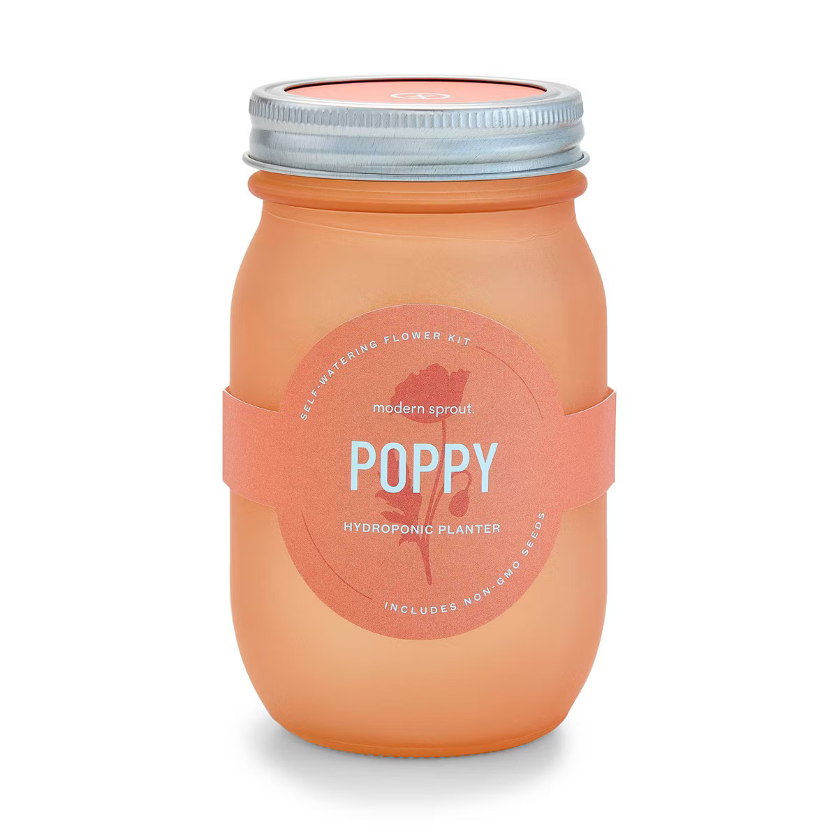 Modern Sprout Pint Jars Garden Seed Kits | Target