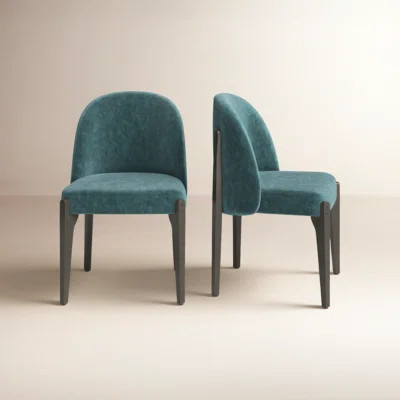 Pietta Dining Chair | Wayfair North America