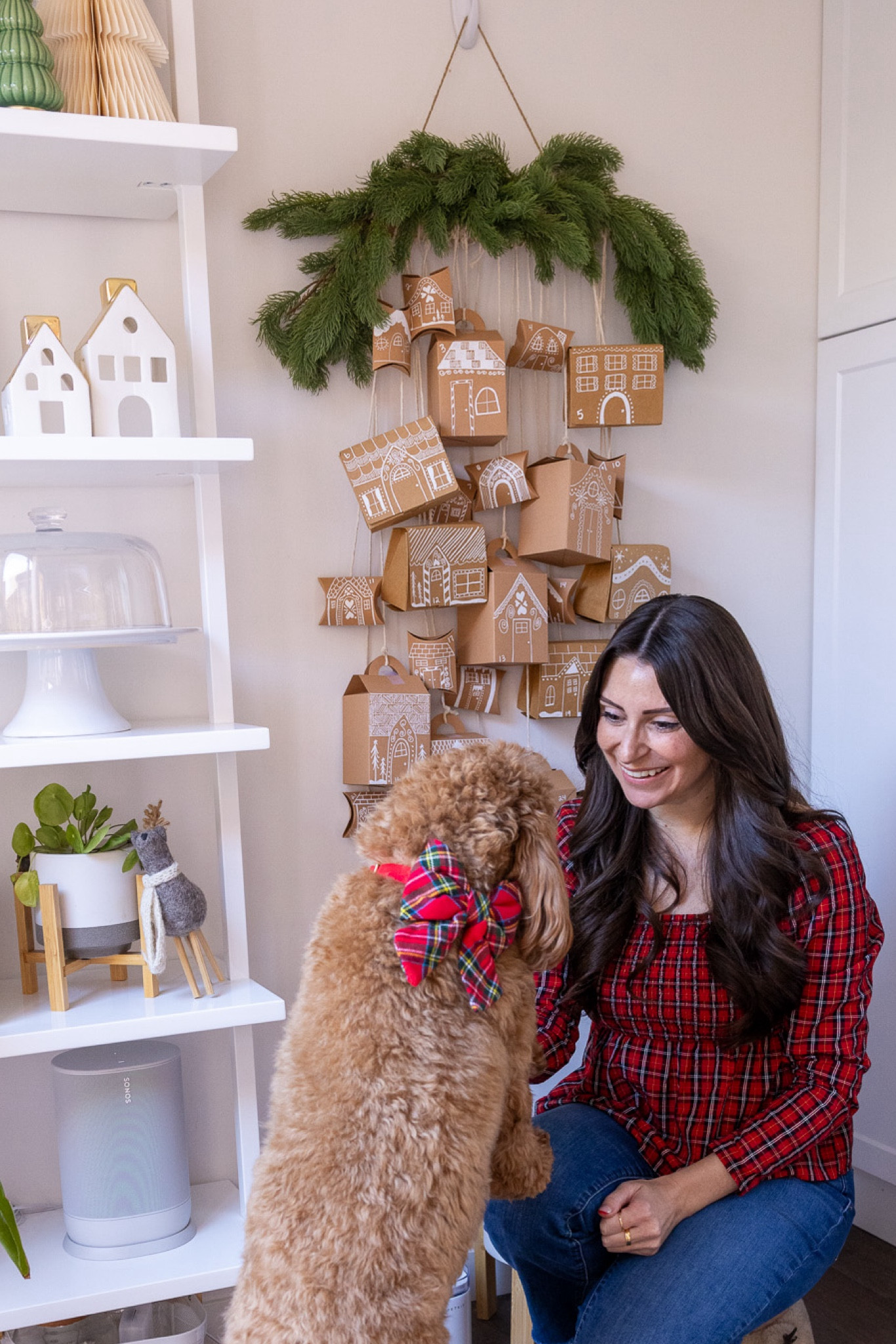 DIY Dog-friendly advent calendarr

#LTKHoliday #LTKhome #LTKSeasonal