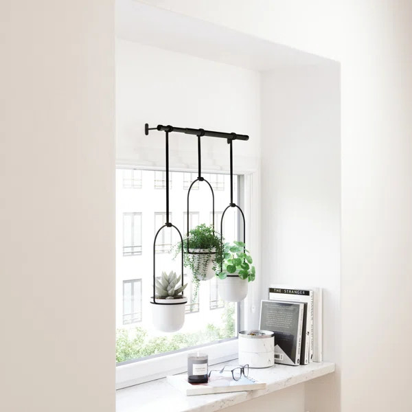 Triflora 3-Piece Hanging Planter | Wayfair North America