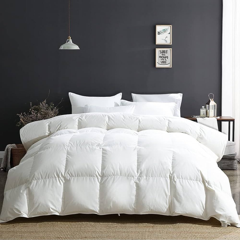 APSMILE Luxury 100% Organic Cotton All Season Goose Feathers Down Comforter Twin Size Duvet Inser... | Amazon (US)