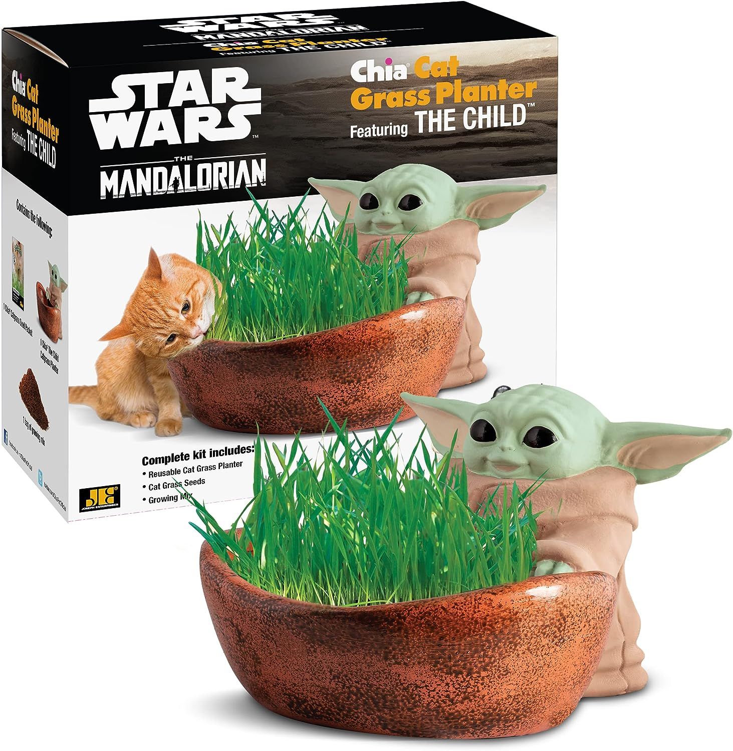 Chia Cat Grass Planter - Star Wars The Mandalorian The Child – Healthy Treat for Your Cat - Dec... | Amazon (US)