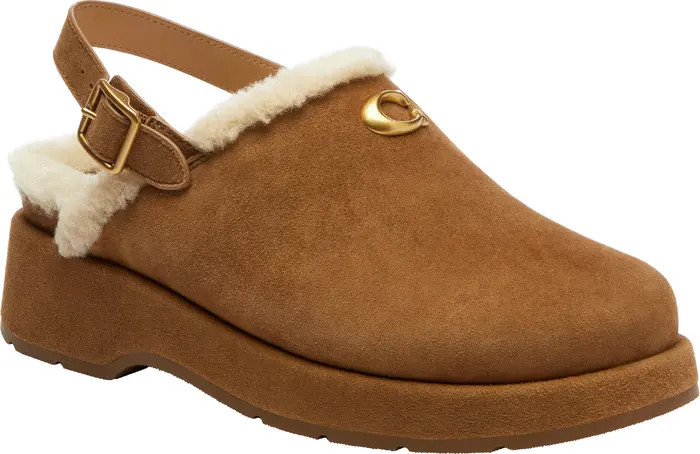 Sculpted C Genuine Shearling Lined Slingback Platform Clog (Women) | Nordstrom