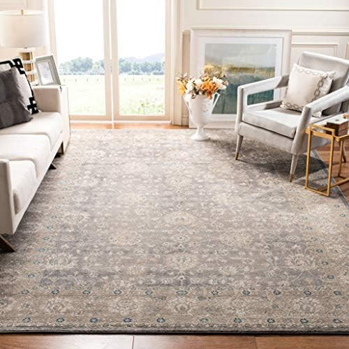 SAFAVIEH Sofia Collection 9' x 12' Light Grey/Beige SOF330B Vintage Oriental Distressed Non-Shedd... | Amazon (US)