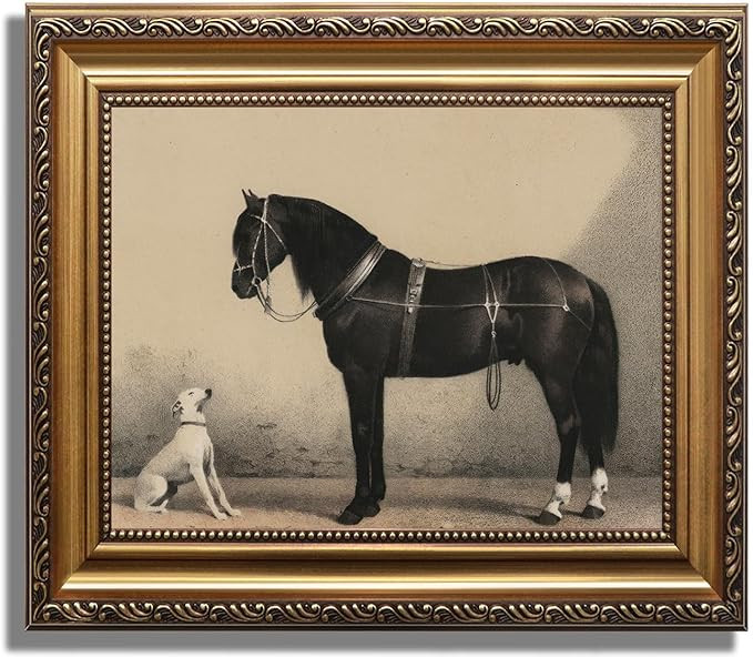 ASTRDECOR Classic Horse Wall Art Prints, Vintage Rustic Farmhouse Country Wall Decor, Vintage Wes... | Amazon (US)