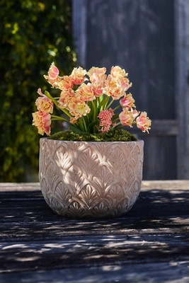 Paloma Ceramic Bowl Planter, 18" | Terrain