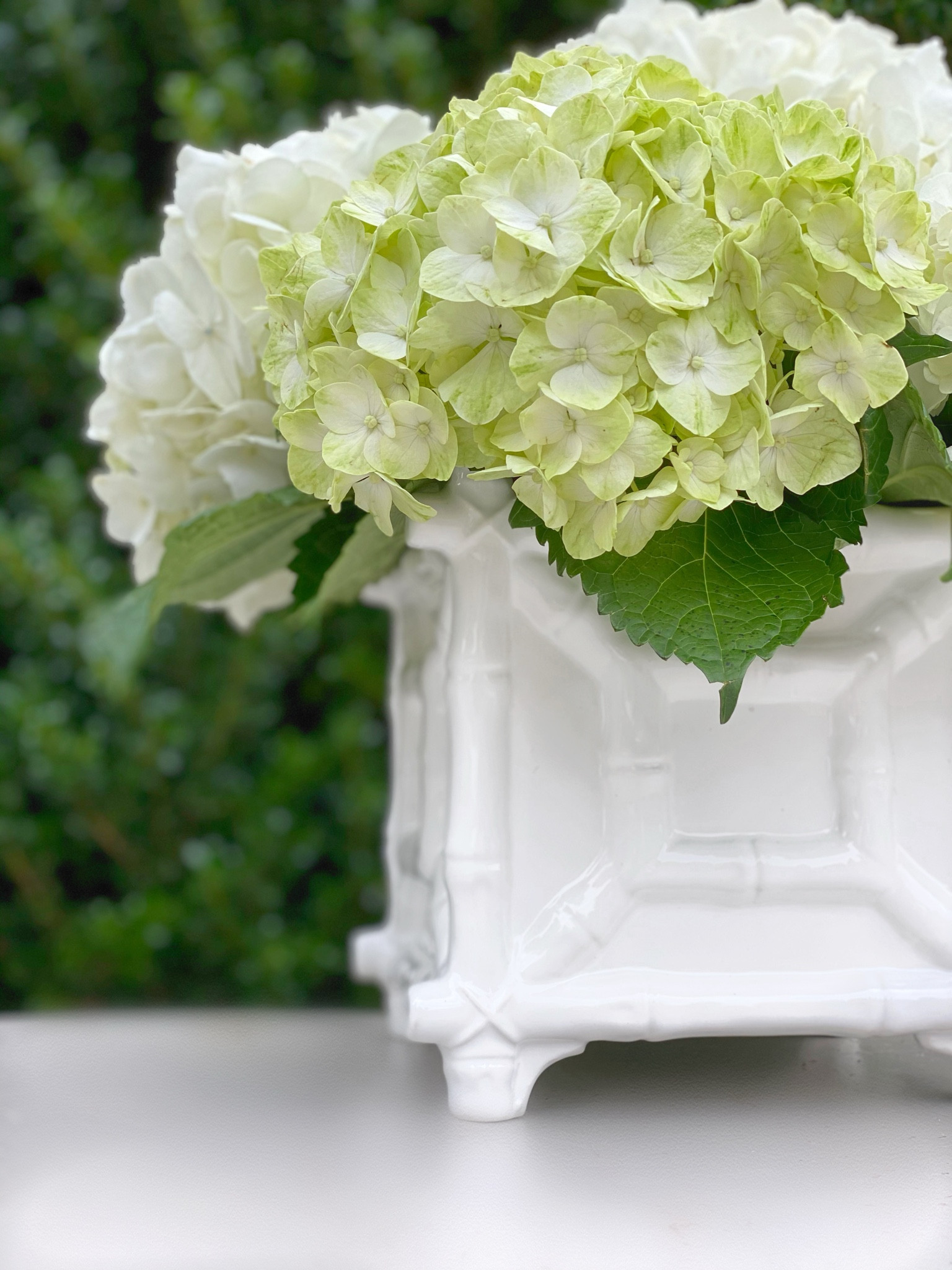White ceramic bamboo cachepots filled with hydrangeas SCREAM spring 🤍

#LTKFindsUnder100 #LTKHome #LTKWedding