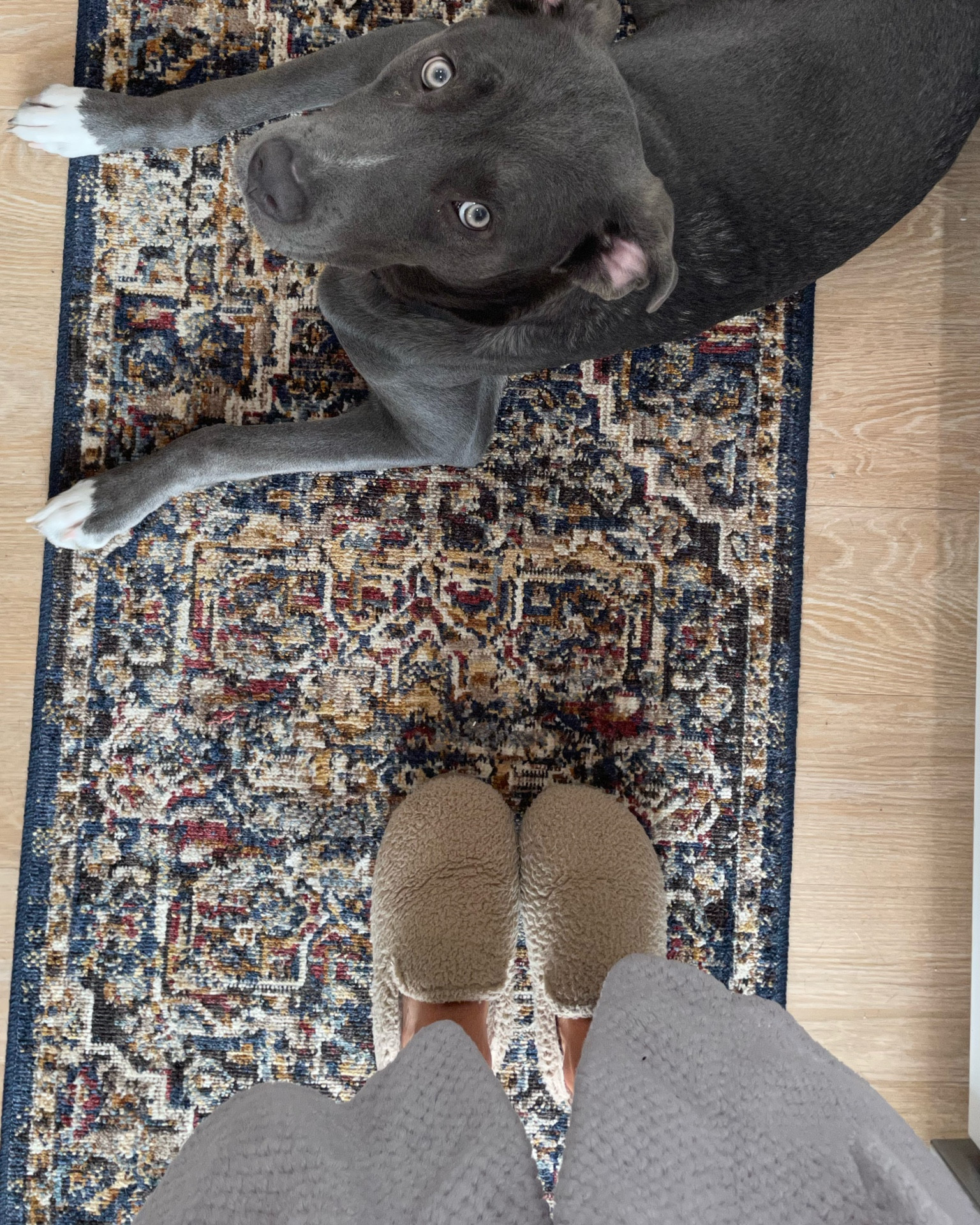 slippers and rug both linked from target! 

#LTKHoliday #LTKfit