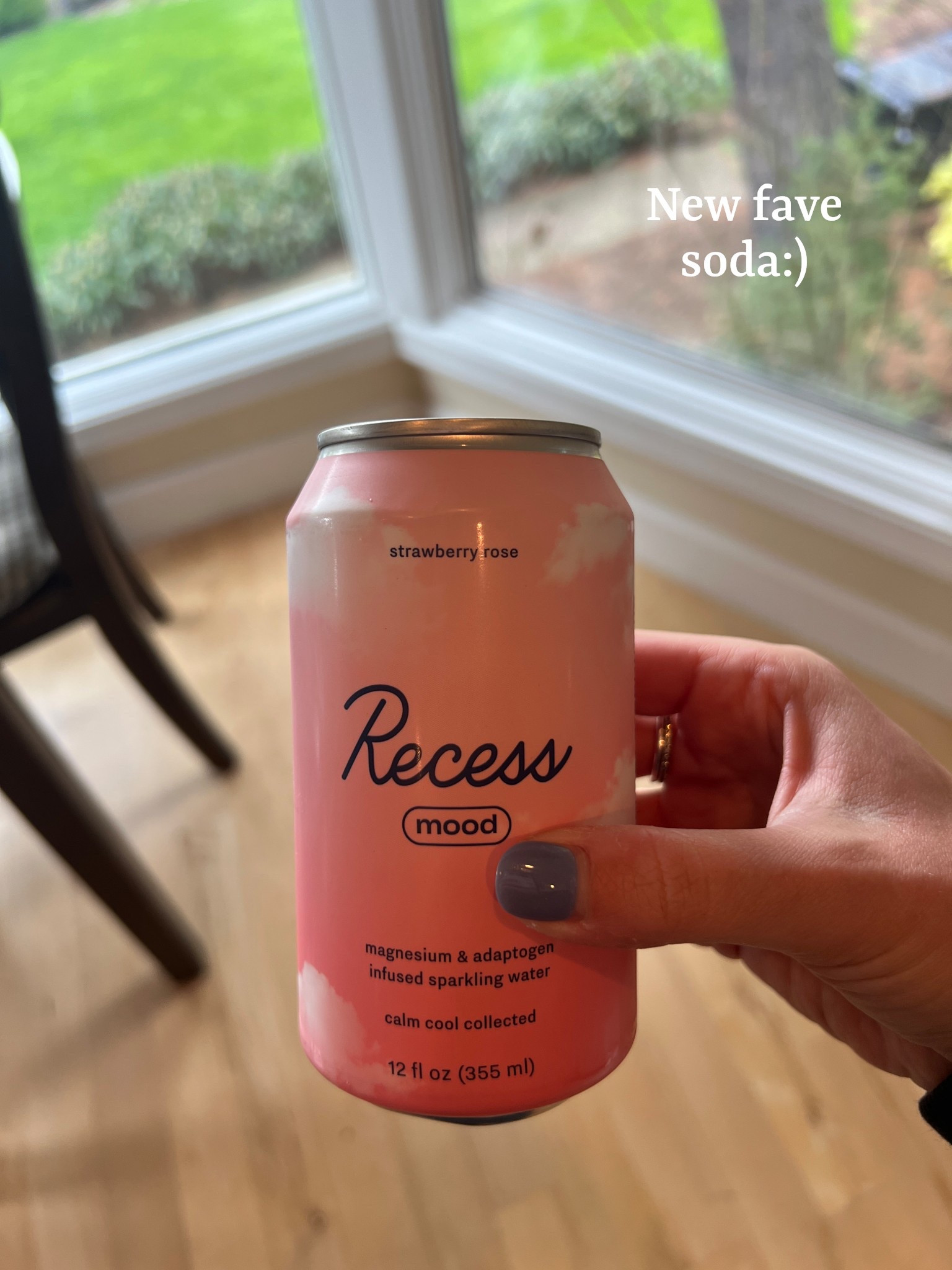 Recess mood adaptogen magnesium infused Soda

Healthy shopping, non alcoholic beverages, recess soda, target and Amazon grocery shopping, strawberry rose healthy drink, Whole Foods, healthy alternative 

#LTKSeasonal #LTKHome #LTKFamily