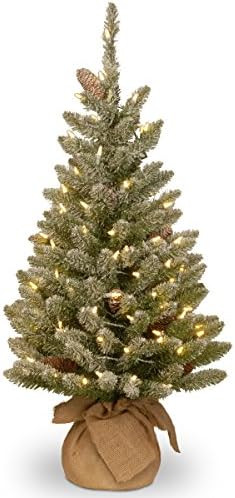 National Tree Company 3 ft Pre-Lit Mini Flocked Artificial Christmas Tree, Pinecones, 50 Clear LE... | Amazon (US)
