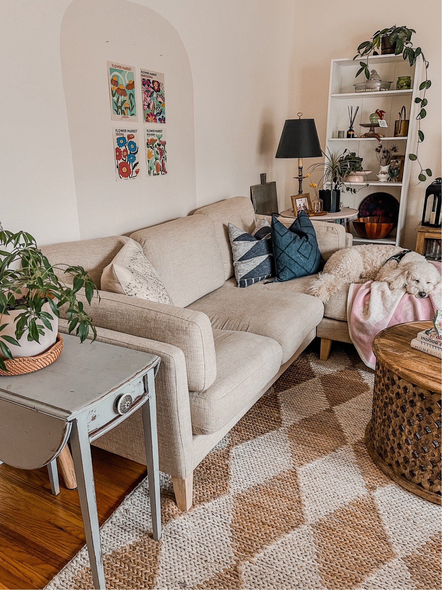 Plants in the living room



#LTKhome #LTKstyletip #LTKfindsunder100