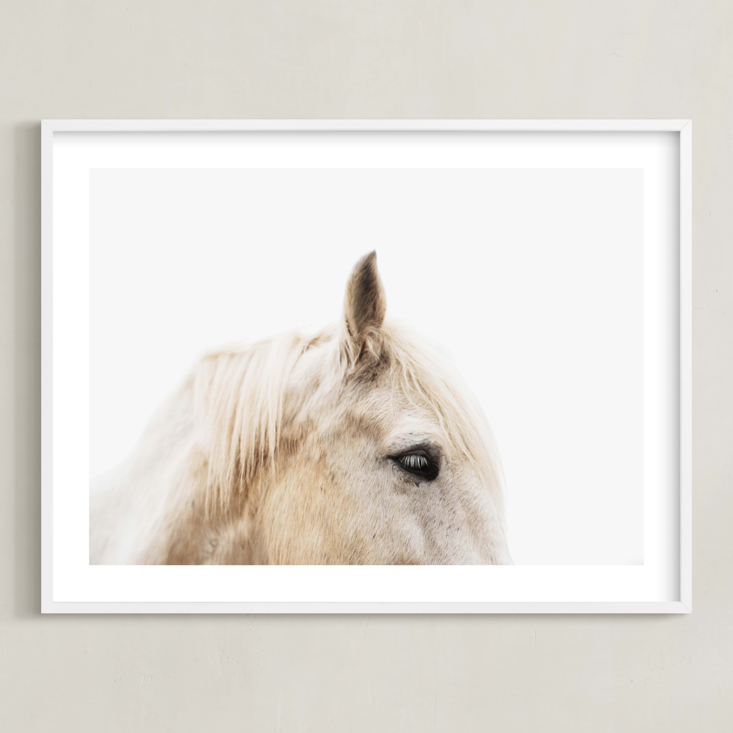 "Le Creme Cheval" - Photography Limited Edition Art Print by Amy Carroll. | Minted